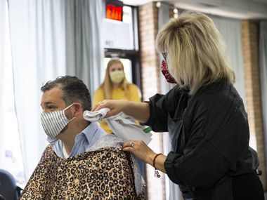 U.S. Sen. Ted Cruz, left, gets a haircut at Salon a la Mode on May 8, 2020 in Dallas. The Texas Supreme Court ordered salon owner Shelley Luther to be freed from Dallas County Jail Thursday. (Juan Figueroa/ The Dallas Morning News)